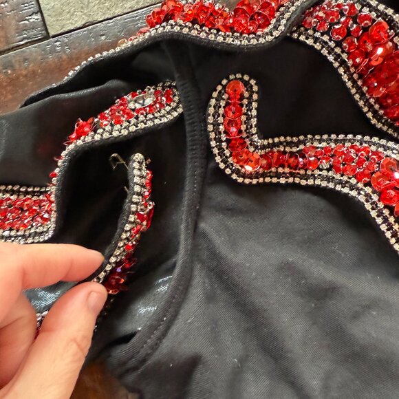 Era's Tour Taylor Swift Costume - Black with red snakes - Picture 3 of 4